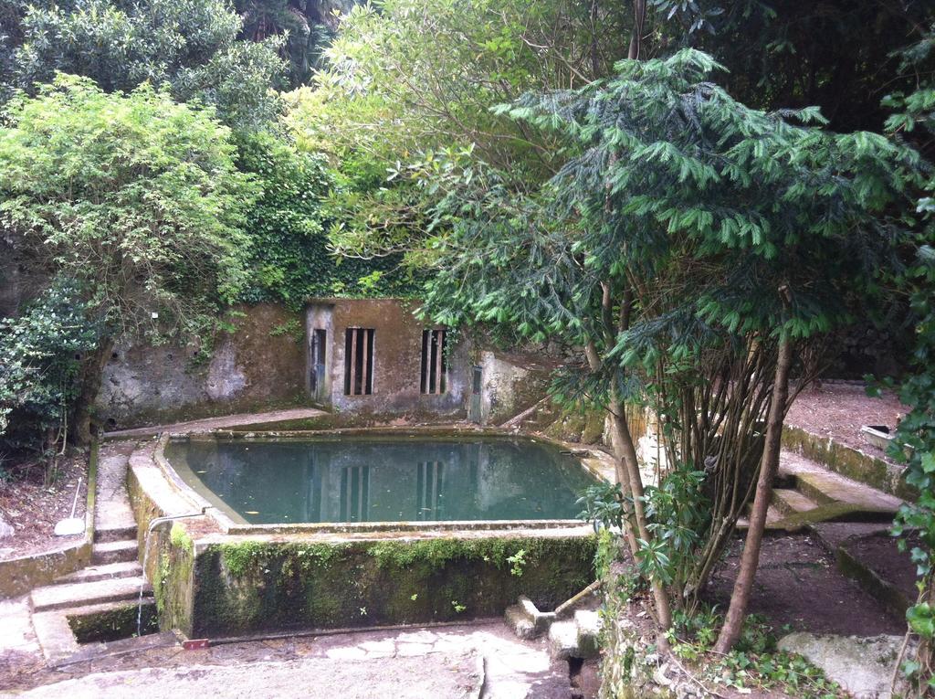 Hotel Quinta Do Castanheiro Sintra Esterno foto