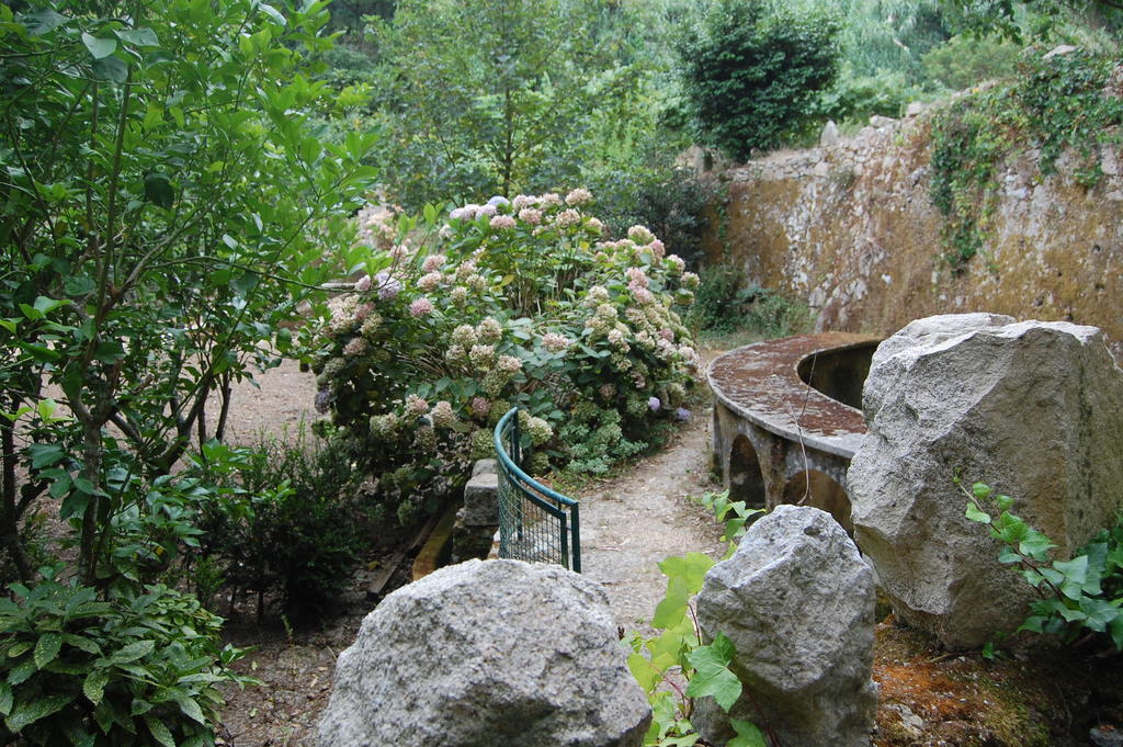 Hotel Quinta Do Castanheiro Sintra Esterno foto